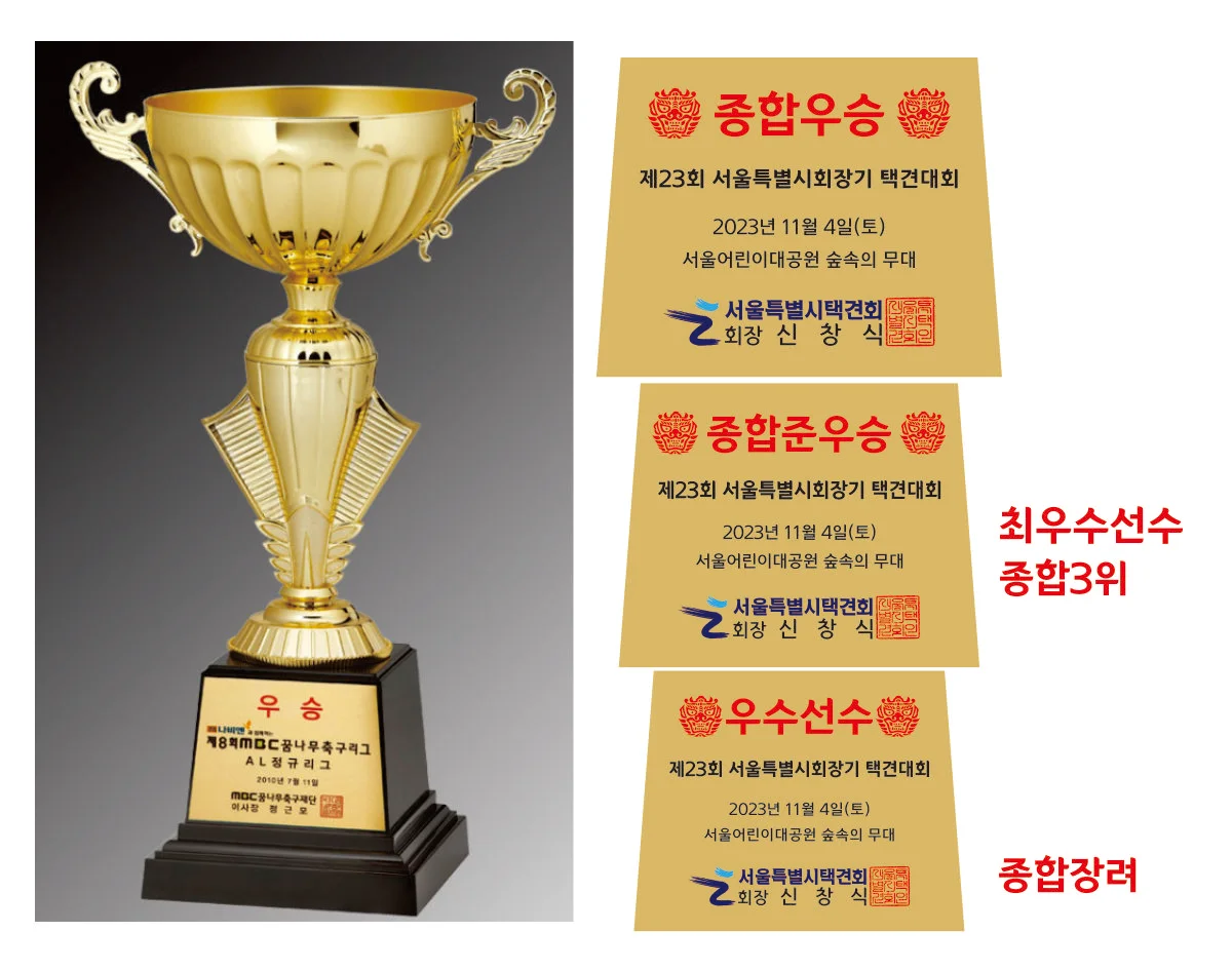 실제작 시안 1