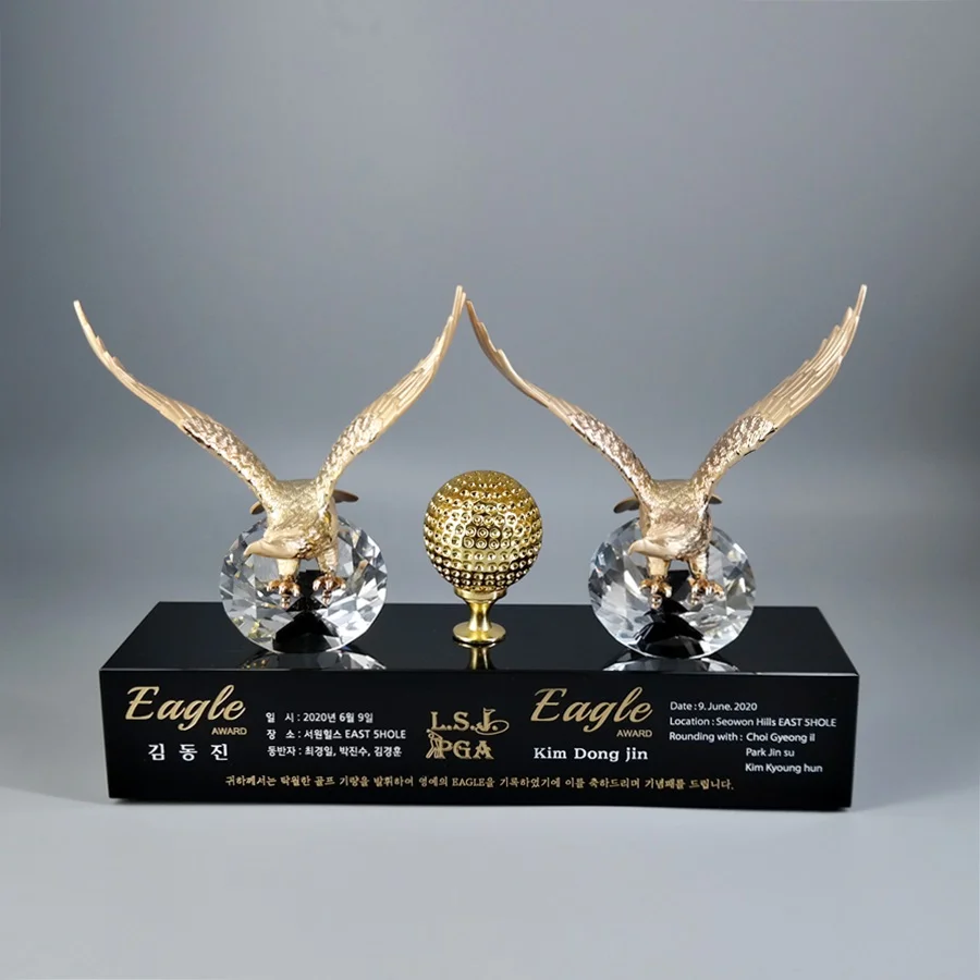 이미지 5
