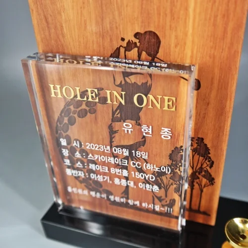 이미지 5